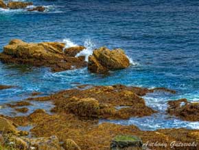 Shoreline view of Mount Desert Island, Maine
